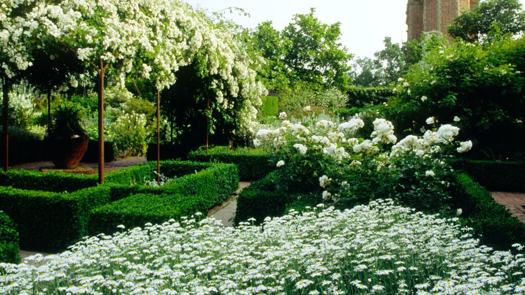 Den vita trädgården