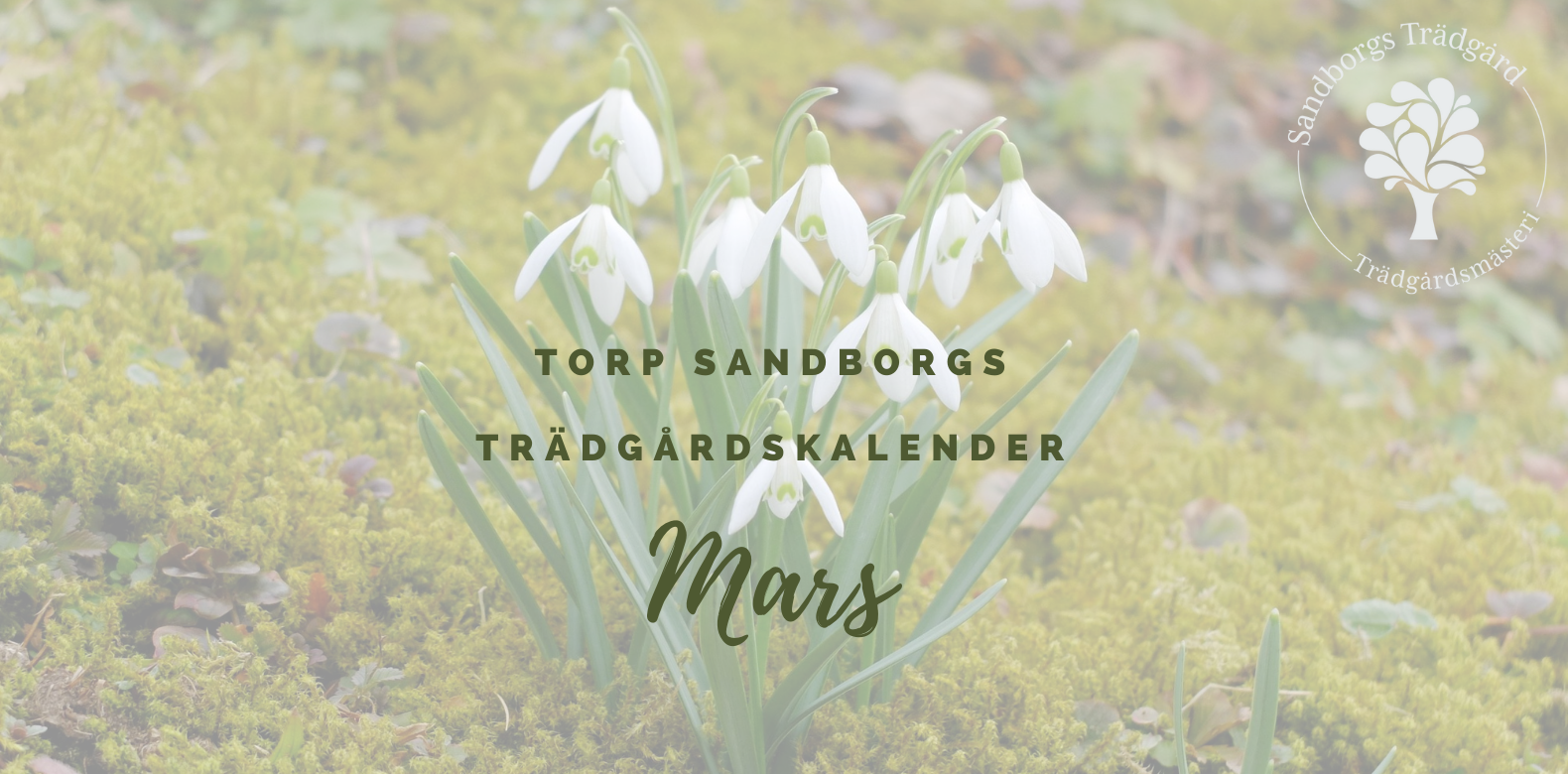 Trädgårdskalender | Sandborgs Trädgård