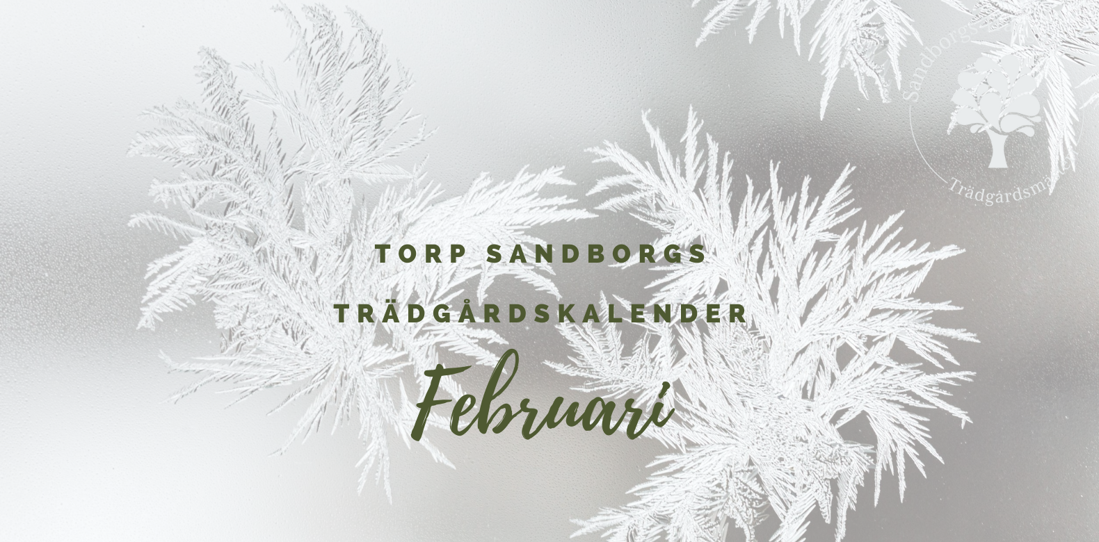 Trädgårdskalender | Sandborgs Trädgård