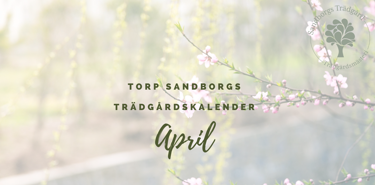 Trädgårdskalender | Sandborgs Trädgård