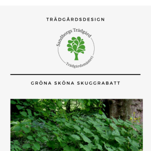 Trädgårdsdesign | Sandborgs Trädgård