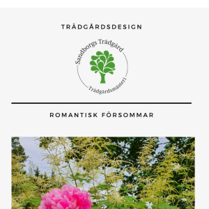 Trädgårdsdesign | Sandborgs Trädgård