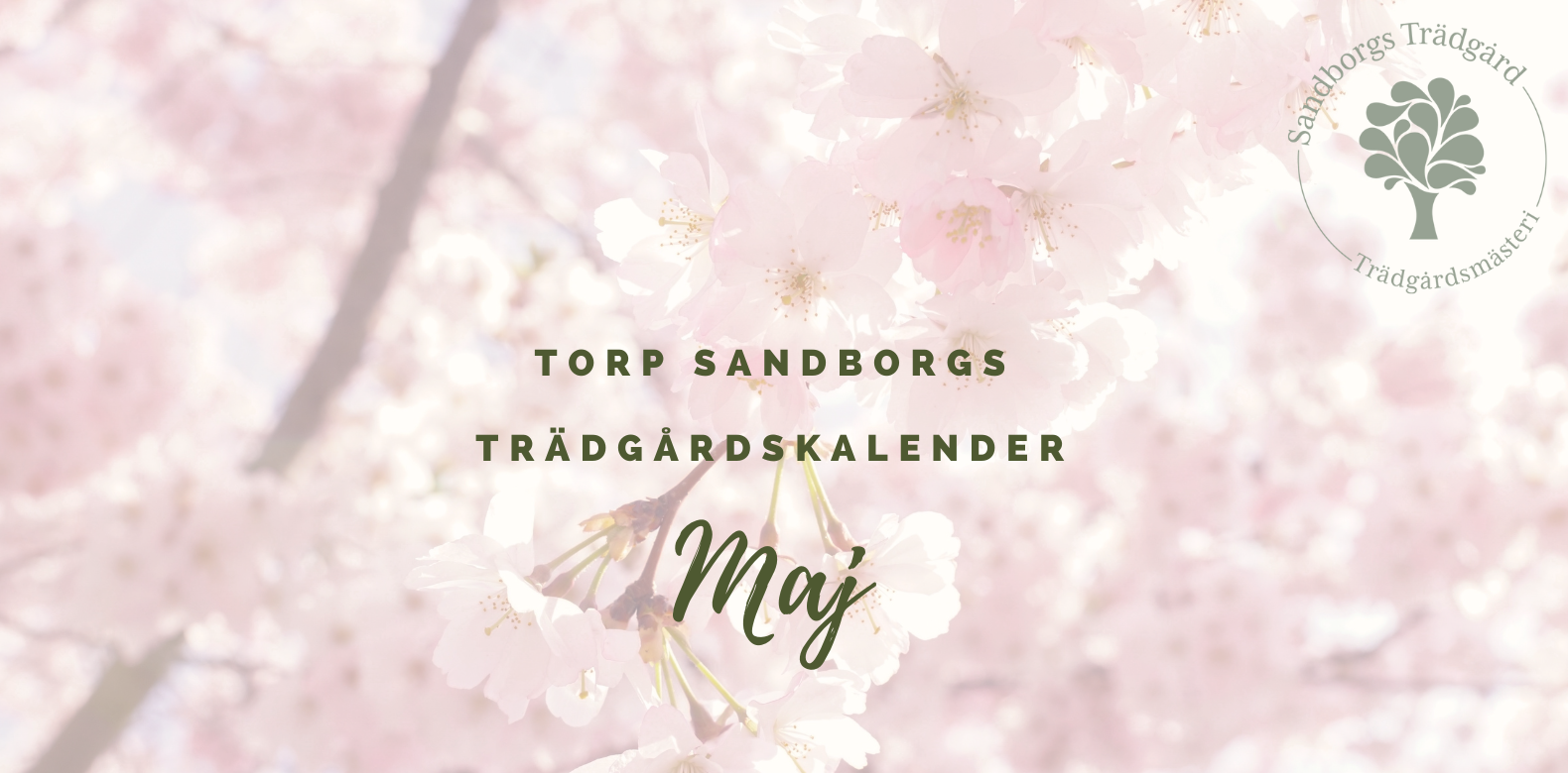 Trädårdskalender | Sandborgs Trädgård
