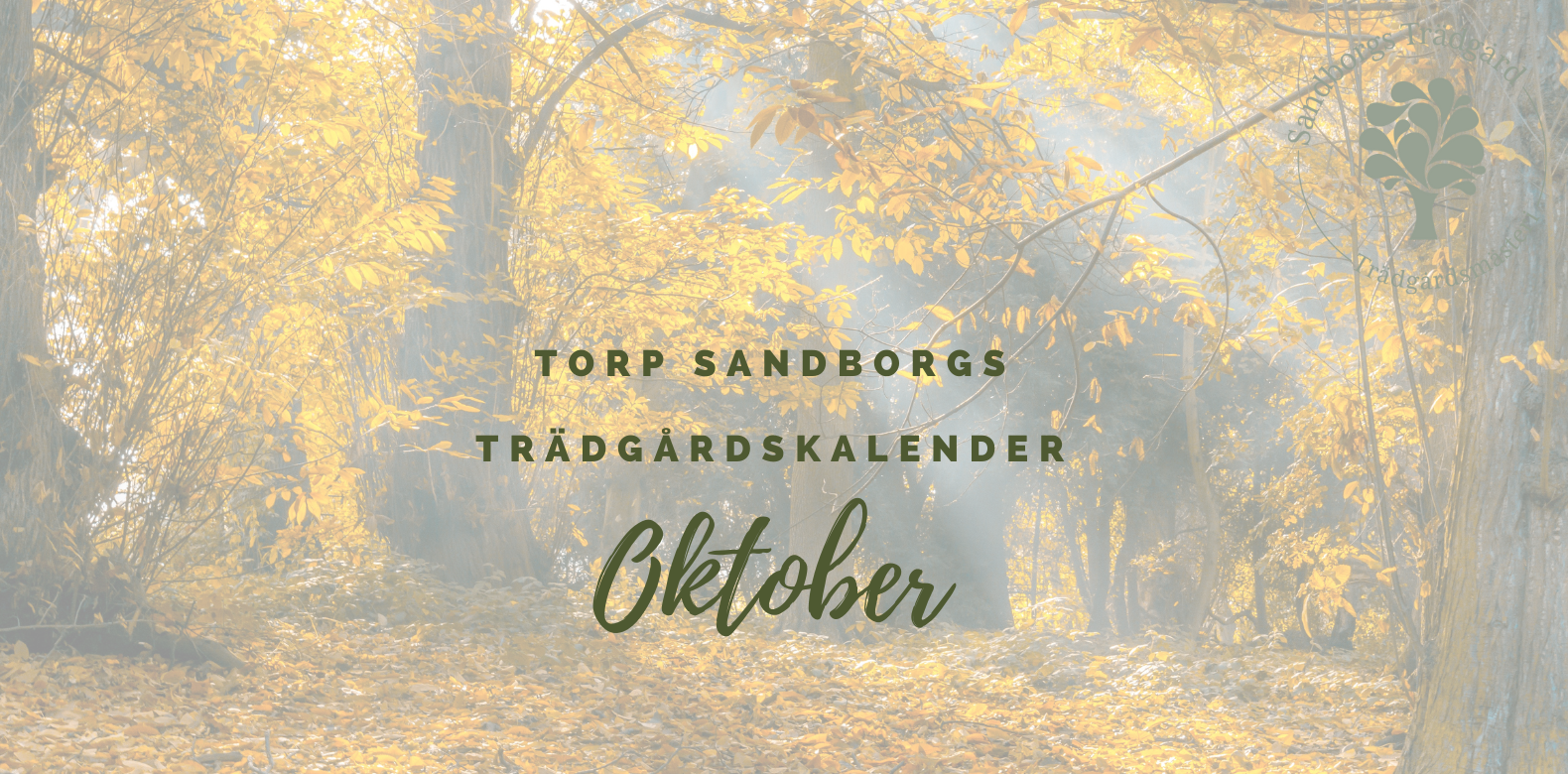 Trädgårdskalender | Sandborgs Trädgård