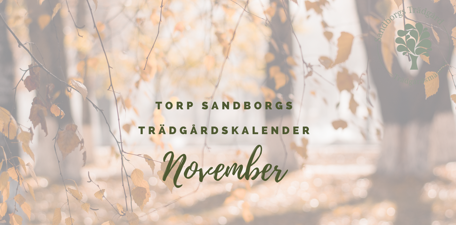 Trädgårdskalender | Sandborgs Trädgård