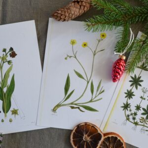 Julpaket | Sandborgs Trädgård