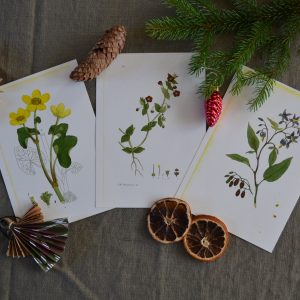 Julpaket | Sandborgs Trädgård