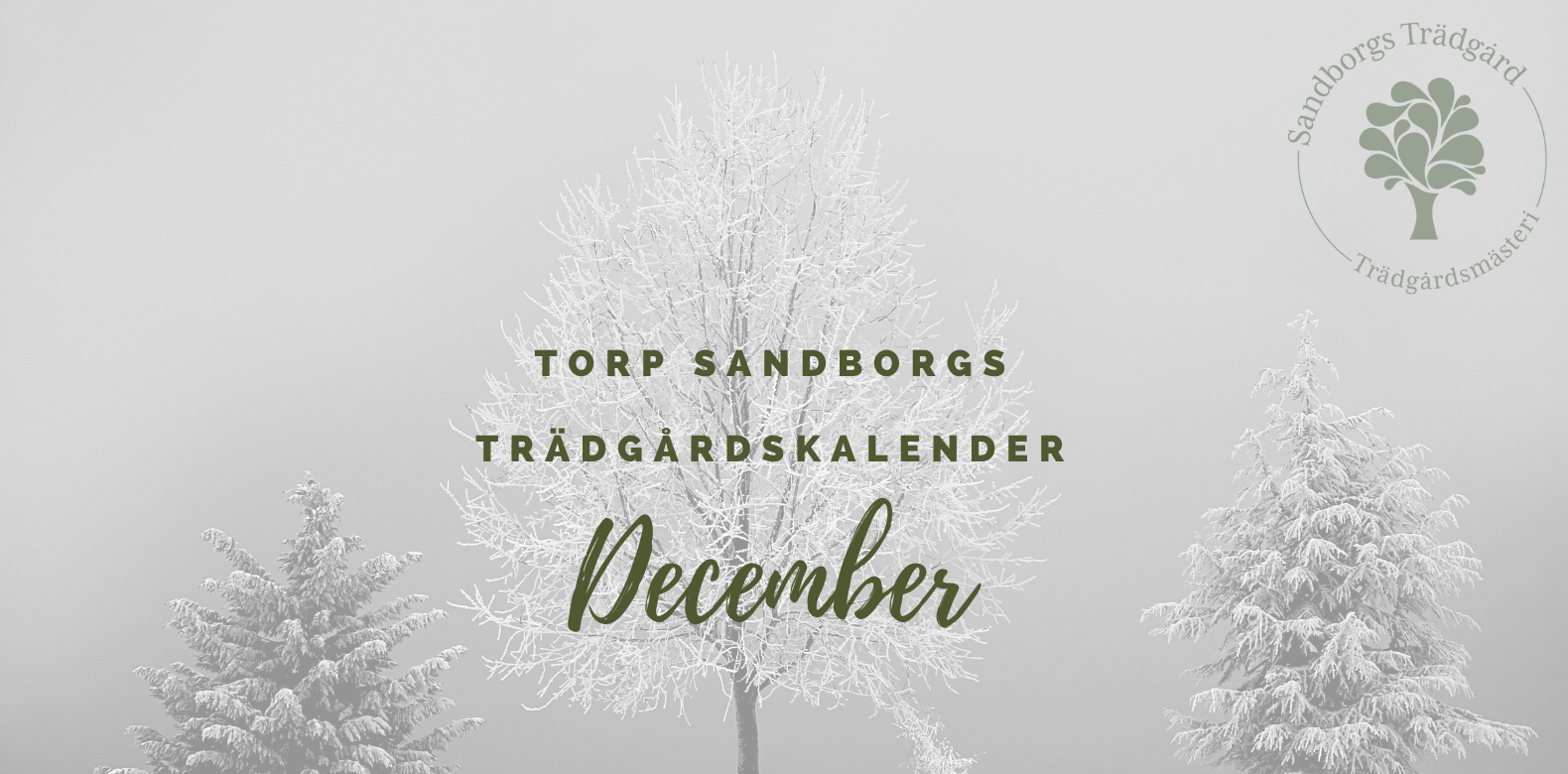 Trädgårdskalender | Sandborgs Trädgård