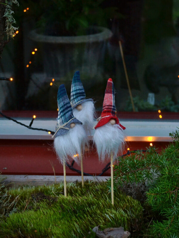 tomte | Sandborgs Trädgård