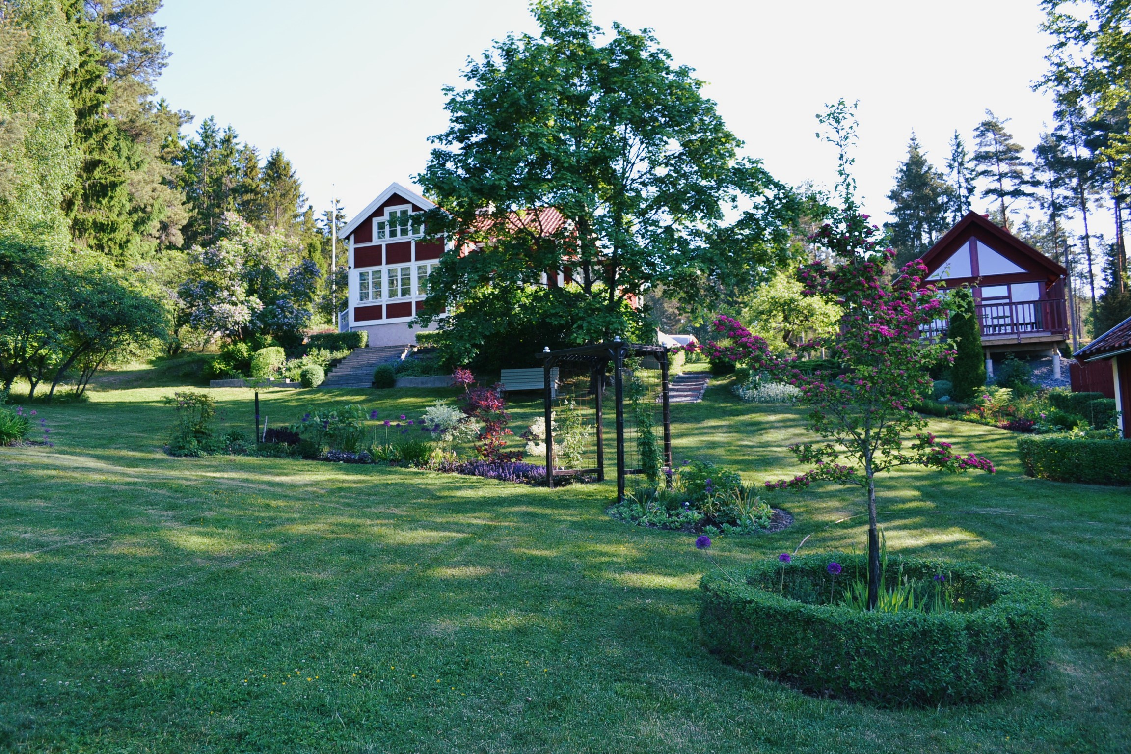 visningsträdgård | Sandborgs trädgård