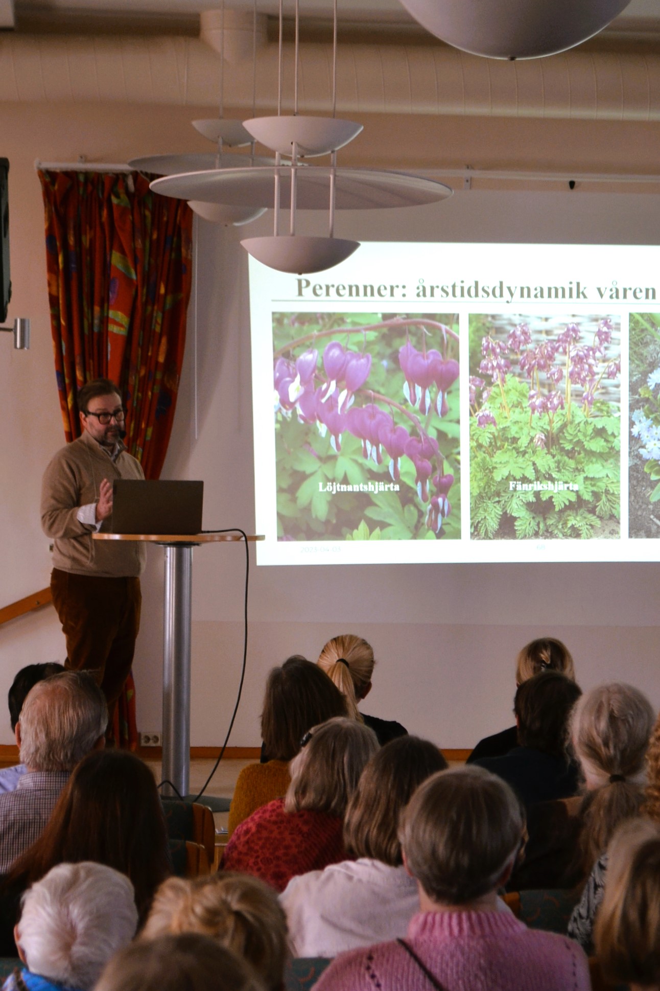 Trädgårdsplanering | Sandborgs Trädgård