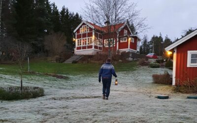 Trädgårdsmästarens jul