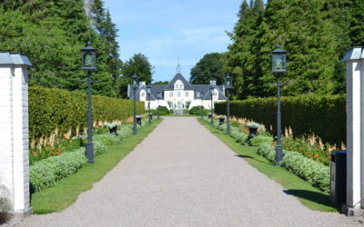 Mitt besök till Norrvikens trädgårdar
