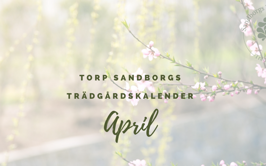 Trädgårdskalendern – April