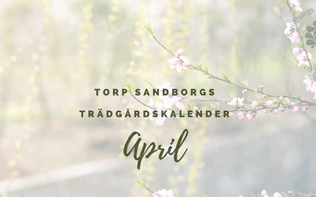 Trädgårdskalendern – April