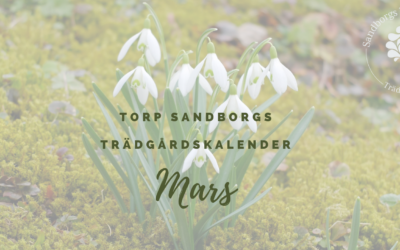 Trädgårdskalendern – Mars