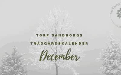 Trädgårdskalendern – December