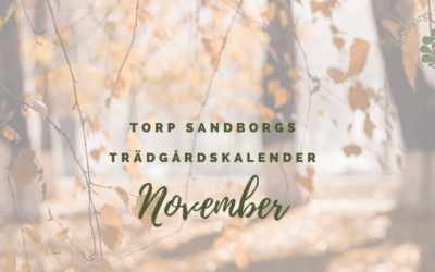 Trädgårdskalendern – November