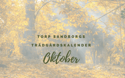 Trädgårdskalendern – Oktober