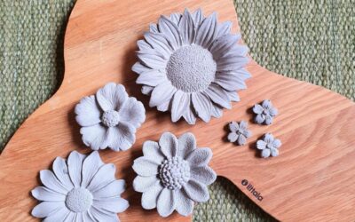 Evighetsblommor i betong