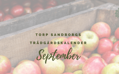 Trädgårdskalendern – September